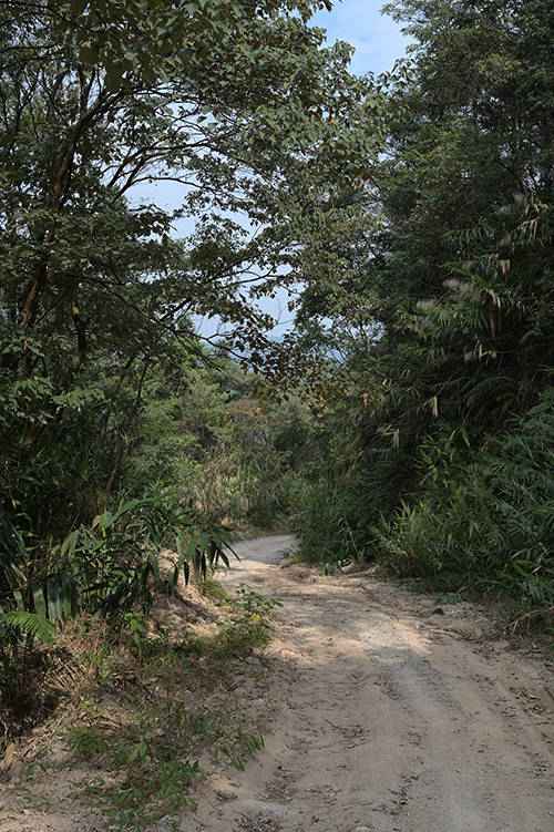 多图 | 山明水秀，叠彩锋岭——深度体验穿越广清徒步线路