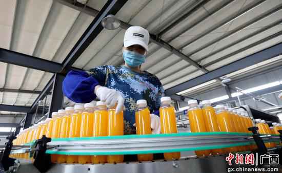 广西融安粤桂扶贫财富园区企业出产忙