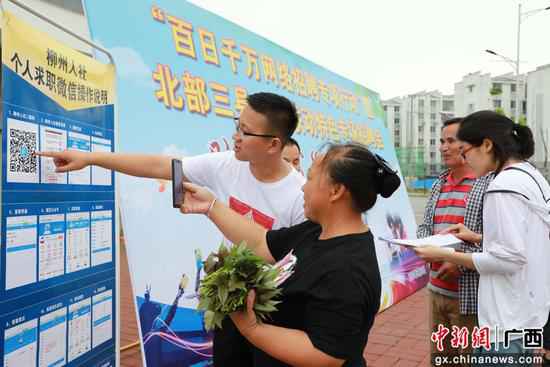 广西融安“云”雇用提供6000多个就业岗亭