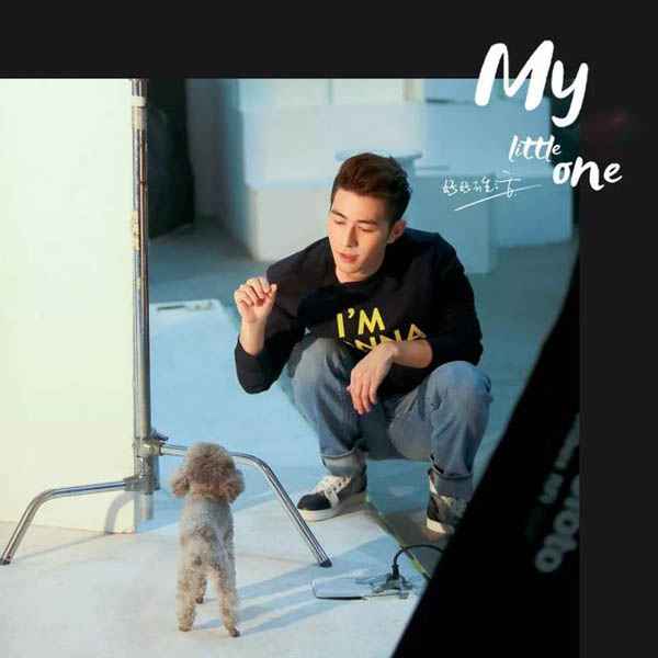 陈学冬为什么没有童年 几条狗是儿时最好的玩伴