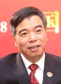 全国人大代表、广东省人民查看院查看长林贻影：确保把每一起案件办成铁案