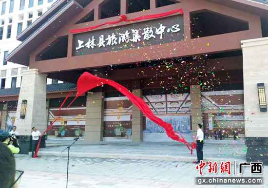 广西上林县进行重大项目开竣工现场会