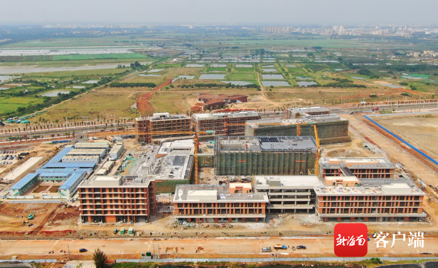 海南加速国际教诲创新岛建树 打造教诲开放成长新标杆
