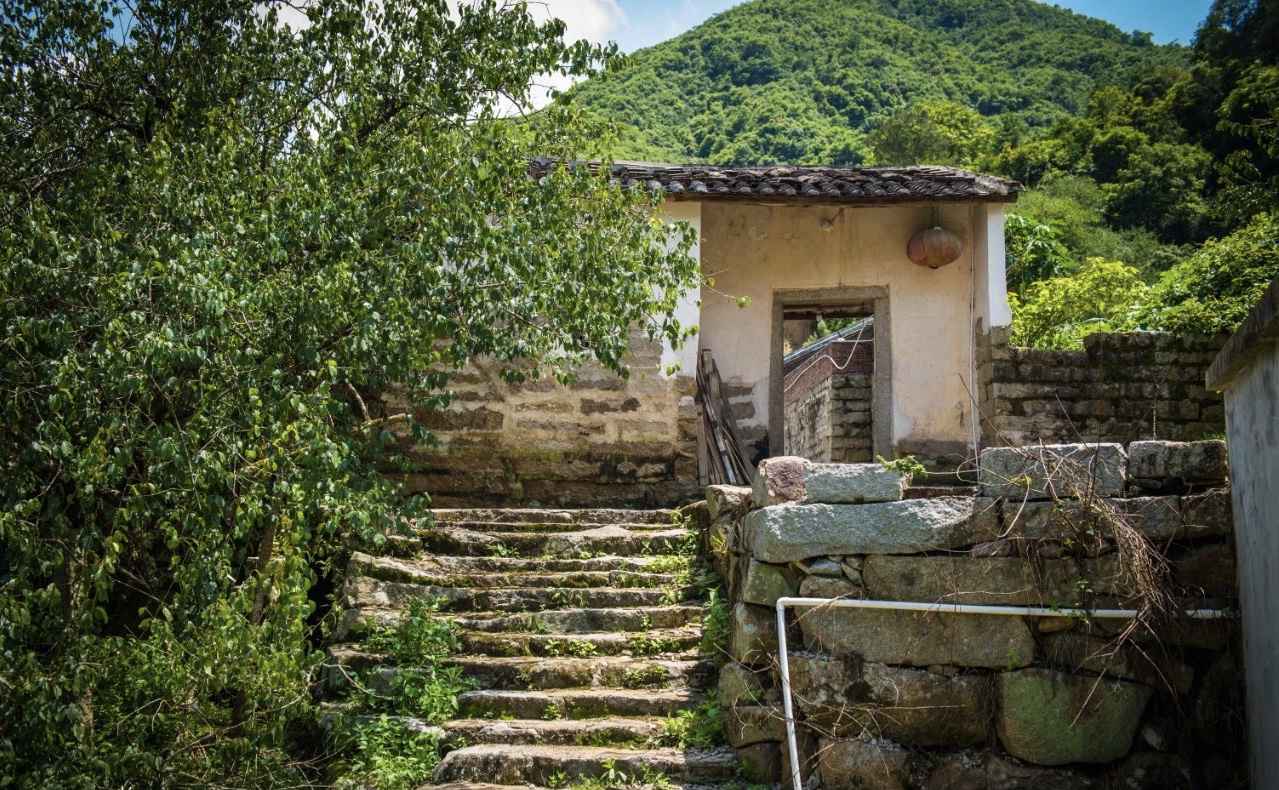 【岭南影象】揭阳揭西:西坑香雪海,坪上绿云烟