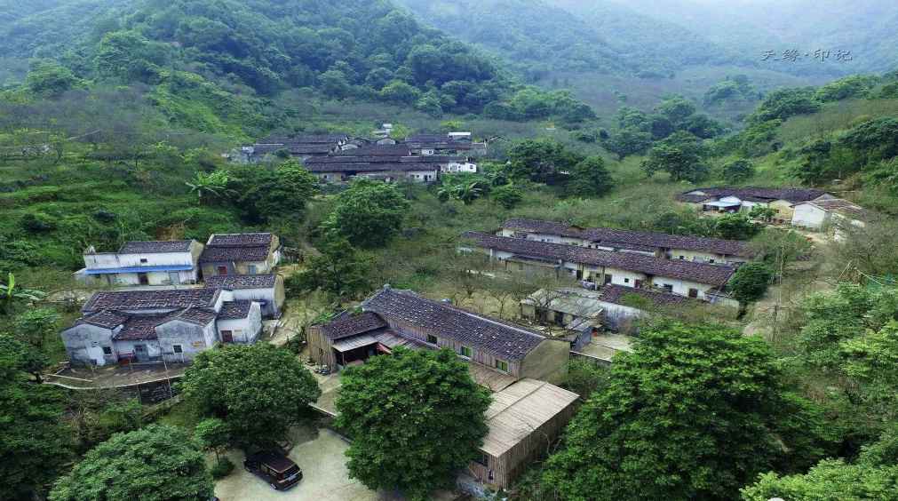 【岭南影象】揭阳揭西:西坑香雪海,坪上绿云烟