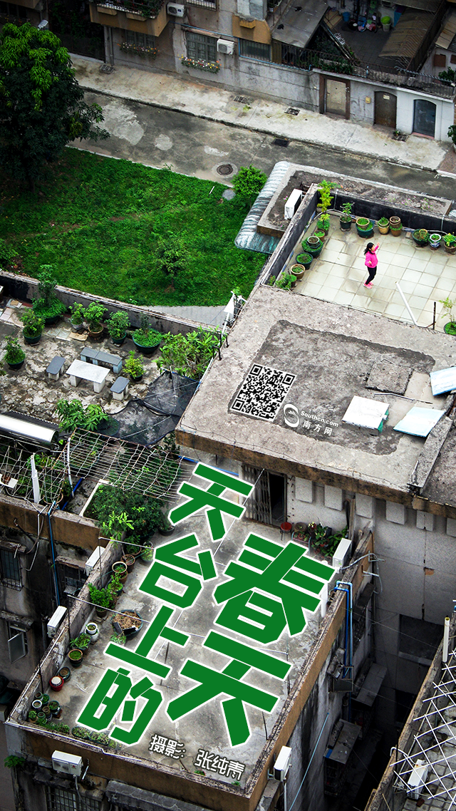 天台上的春天:方寸之地 别样糊口