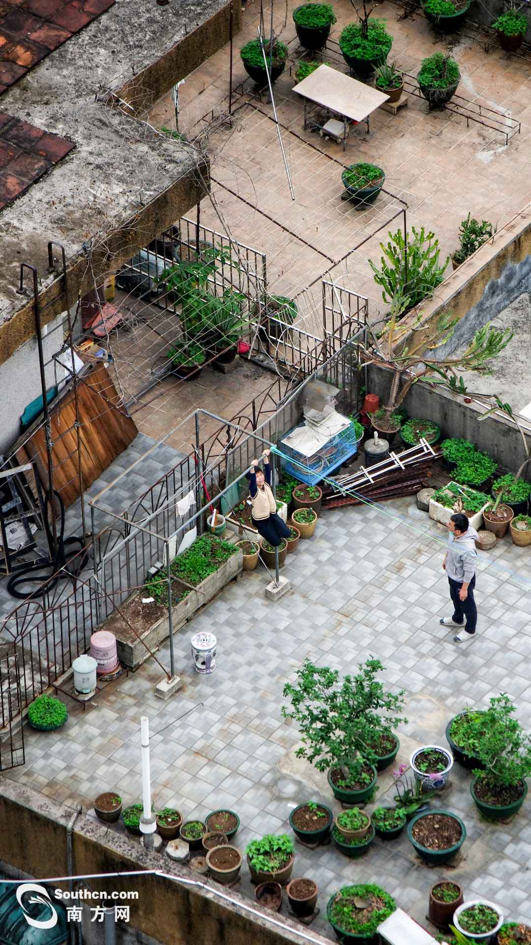 天台上的春天:方寸之地 别样糊口