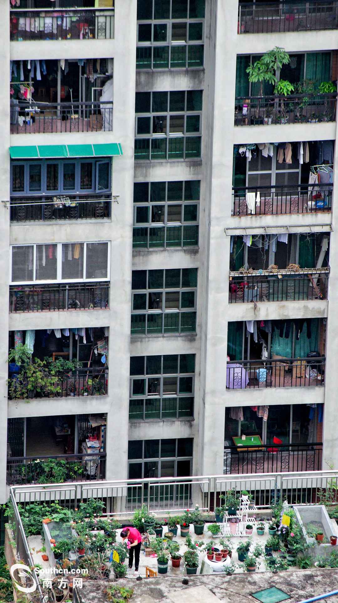 天台上的春天:方寸之地 别样糊口