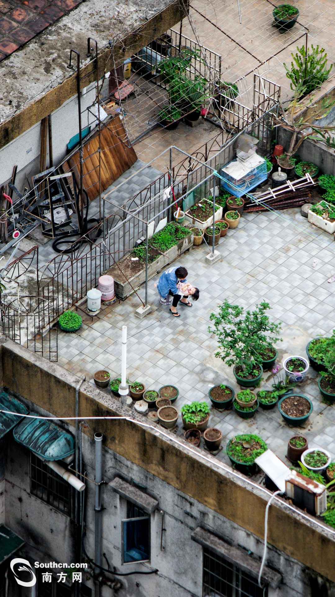 天台上的春天:方寸之地 别样糊口