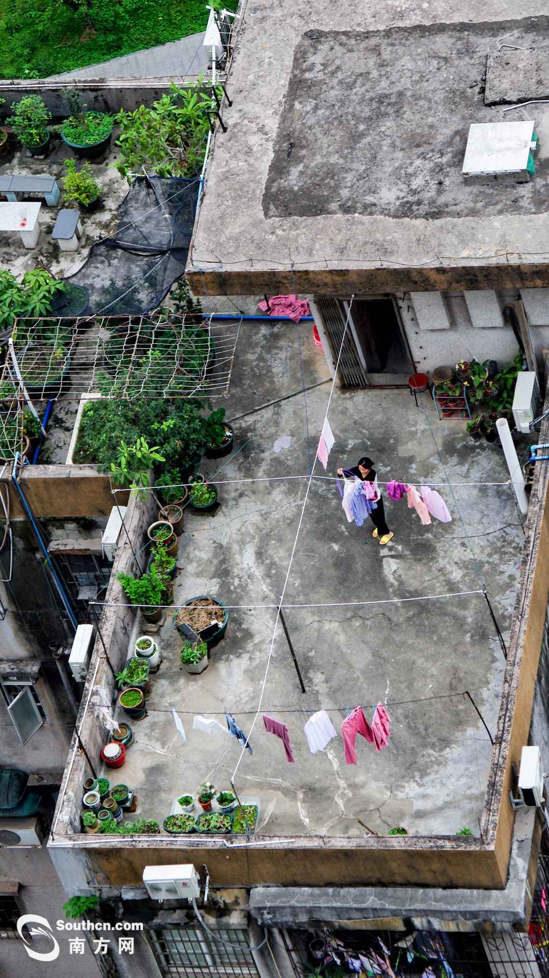 天台上的春天:方寸之地 别样糊口