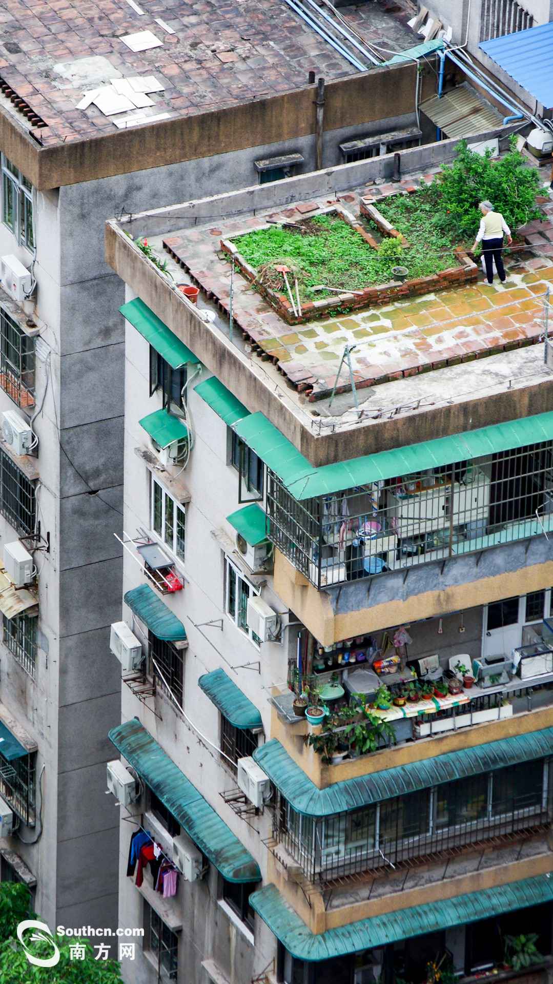 天台上的春天:方寸之地 别样糊口
