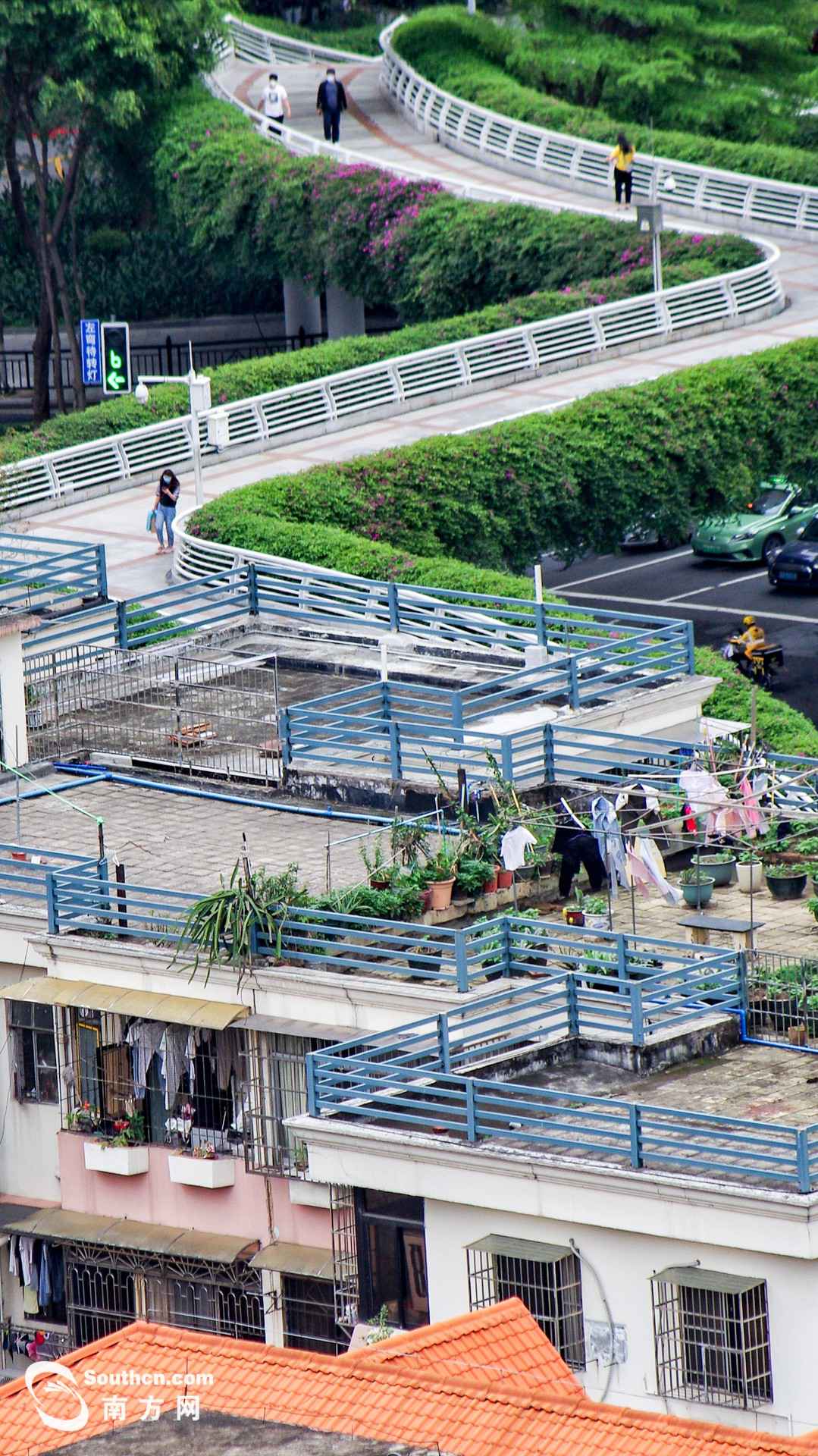 天台上的春天:方寸之地 别样糊口