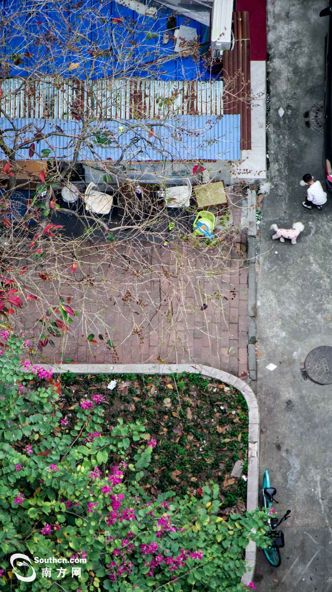 天台上的春天:方寸之地 别样糊口