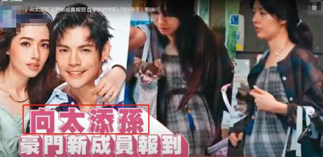 知恋人爆郭碧婷年头就已有身 预产期约本年9月份