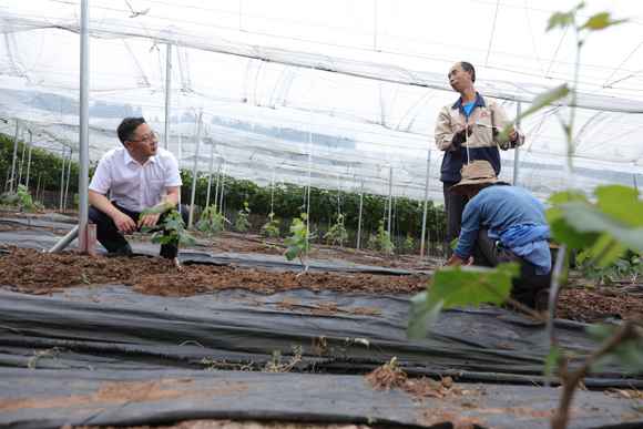 对症下药破恶疾 建章立制堵裂痕 重庆“以案四改”类型扶贫项目资金禁锢