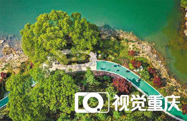 为了山水之城的生态底色——北碚摸索“生态美、黎民富”高质量成长之路