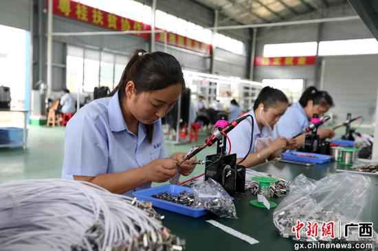 广西融安：实现不变就业 固定脱贫成就