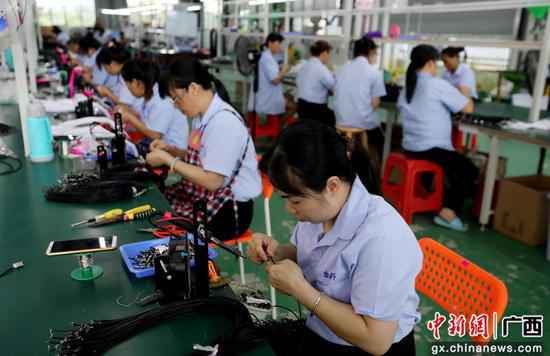 广西融安：实现不变就业 固定脱贫成就