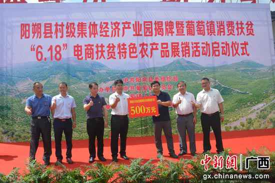 阳朔集团经济与消费扶贫相融合 一条龙处事多方共赢