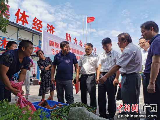 阳朔集团经济与消费扶贫相融合 一条龙处事多方共赢