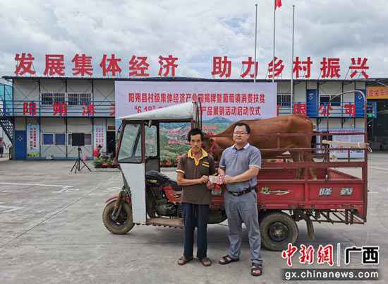 阳朔集团经济与消费扶贫相融合 一条龙处事多方共赢