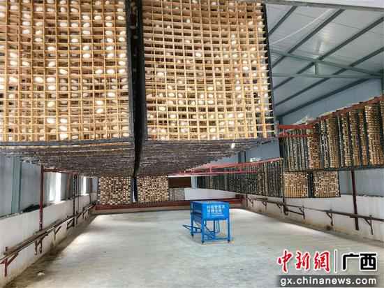 广西鹿寨尺度化蚕房结出亿元产值“致富茧”