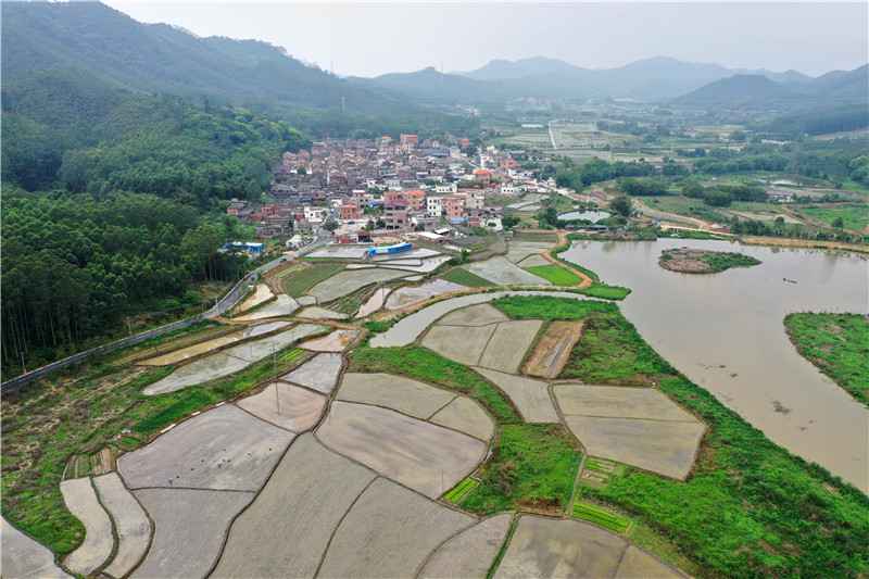 寻迹佛山高超坟典水陂