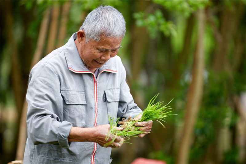 寻迹佛山高超坟典水陂