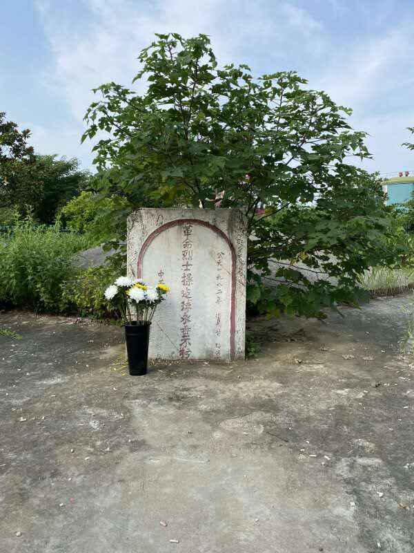 高河镇中心学校开展庆祝中国共产党创立99周年系列眷念勾当