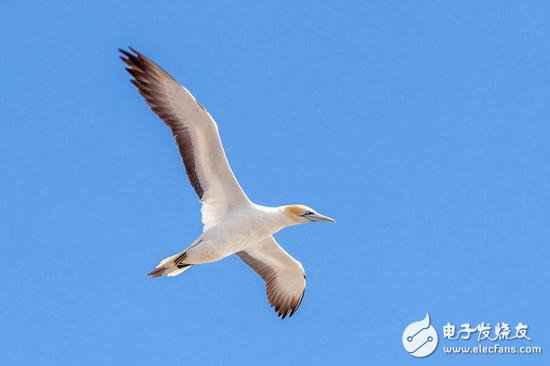 佳能800D：最值得新手入手的入门级单反相机