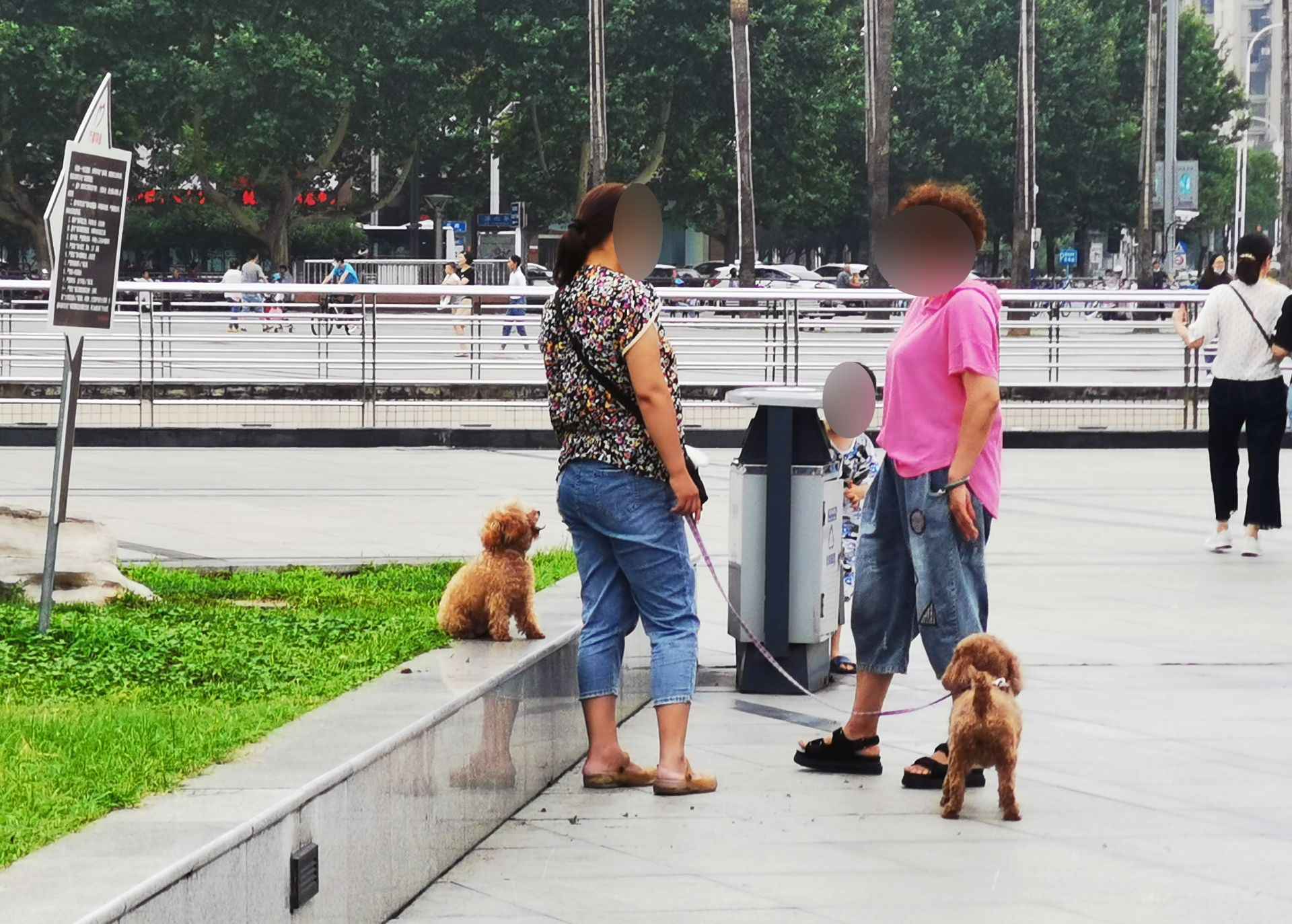 市民号令文明养犬