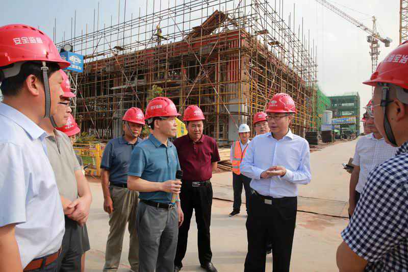 陈冰冰在怀宁县调研企业成长