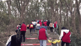 2018上海佘山元旦登高报名时间+报名方法