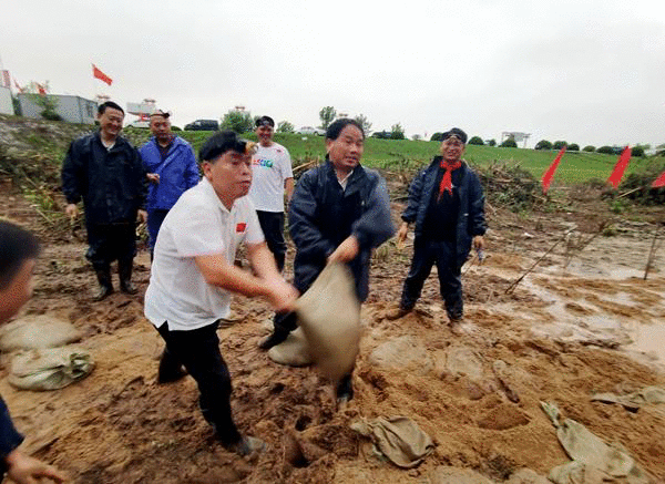 闻汛而动！迎江区西席防汛突击队用责任继续筑牢“堤坝”