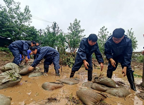 闻汛而动！迎江区西席防汛突击队用责任继续筑牢“堤坝”