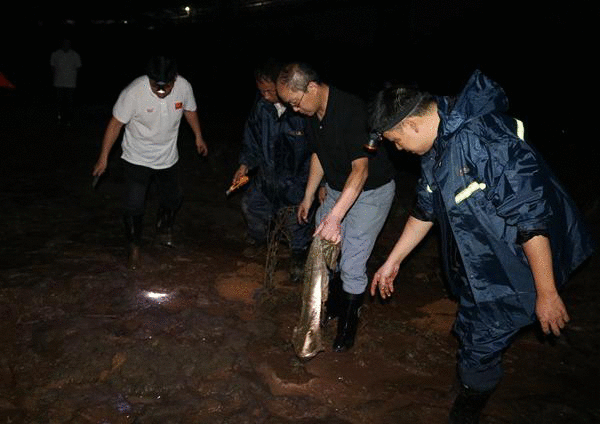 闻汛而动！迎江区西席防汛突击队用责任继续筑牢“堤坝”