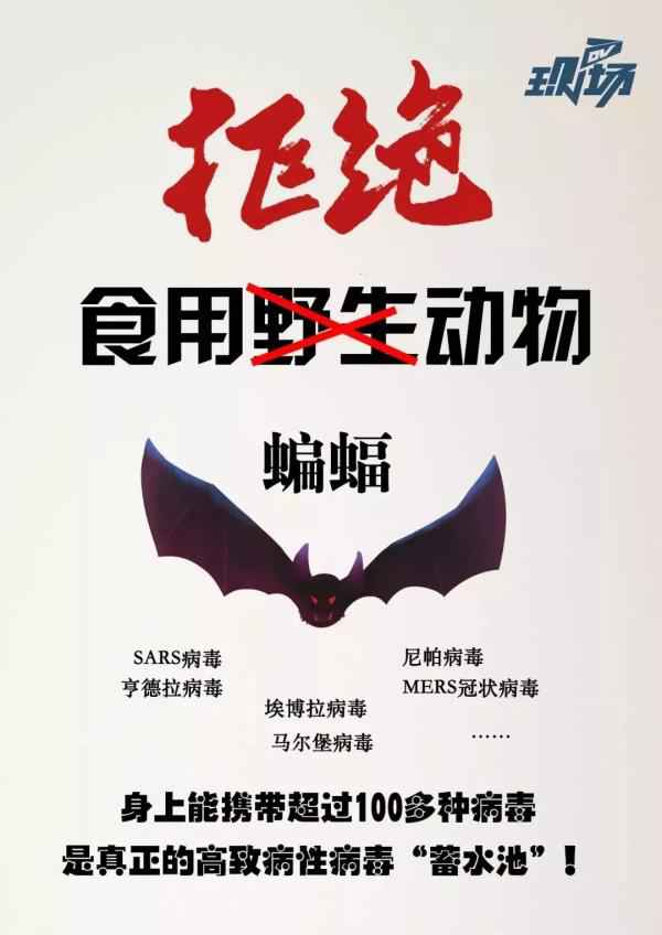  《北京市野活跃物掩护打点条例》正式实施，这些内容重点相识一下