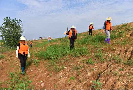 守护堤坝 践行初心使命