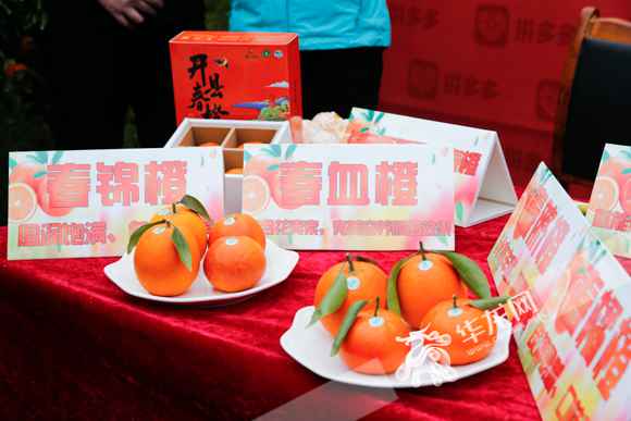 率领纷纷化身“主播” 看直播带货在重庆有多火