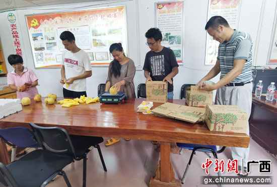 广西阳朔县阳朔镇：桂花梨香满致富路