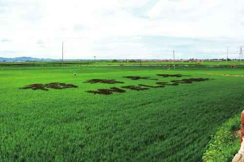 舒兰市：抓项目 调布局 惠民生 敦促经济社会高