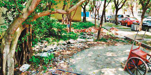 重庆国度卫生都市(区)比例达48% 本年将建2至3个康健都市示范区