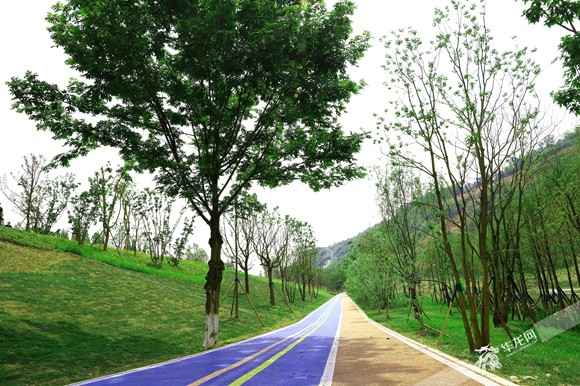 缙云山蜕变记③|生态上山 人口下山