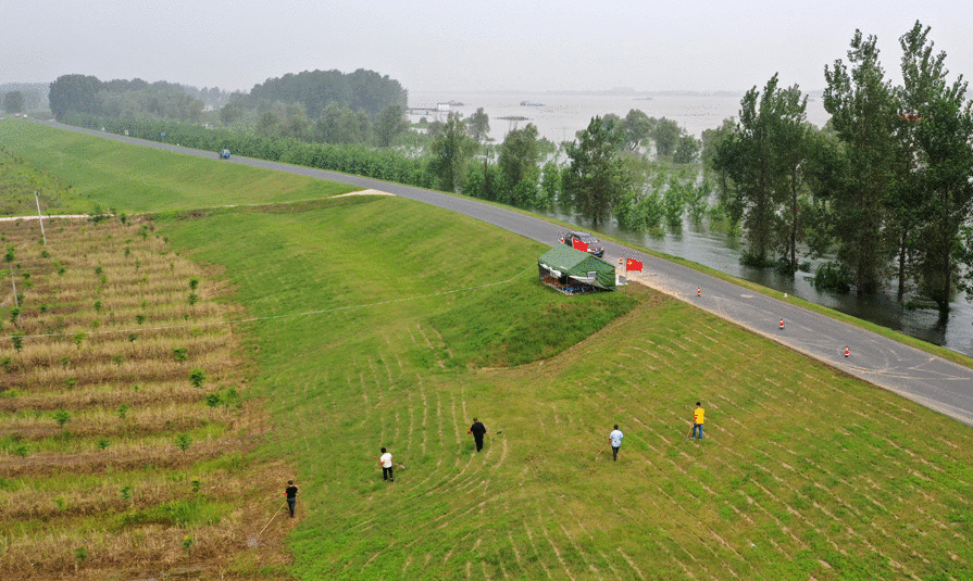 向水而行 筑牢“芳华堤坝”——安徽农垦团员青年防汛抗洪、抢险救灾纪实