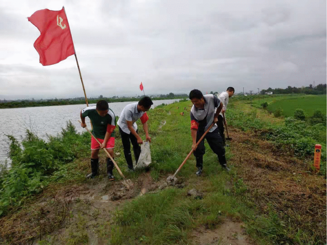 向水而行 筑牢“芳华堤坝”——安徽农垦团员青年防汛抗洪、抢险救灾纪实