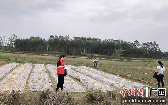 横县：财富奖补促增收 脱贫致富底气足