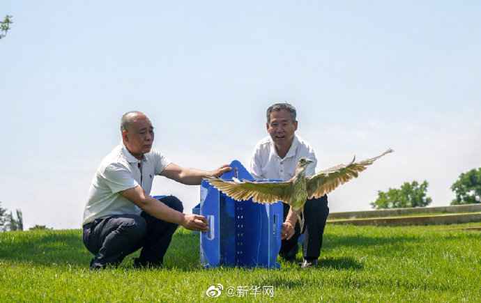  北京新版野活跃物掩护条例6月1日施行