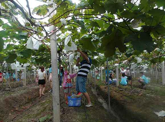 共克时艰 公益品宣|五一周边找耍事 这些农家游相识一下