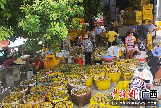 桂林移动“一张网”为消费扶贫添“助力”