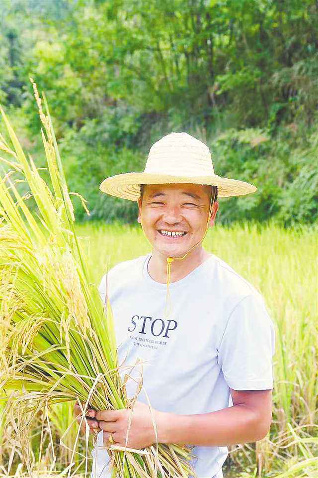 芳华在脱贫攻坚一线绽放 ——记4位巴渝青年的“乡土芳华”